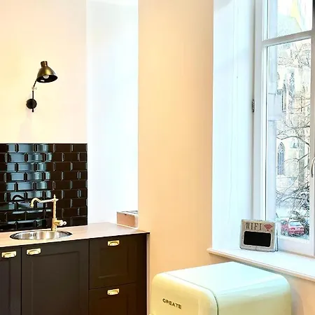 Le Cathedral View - Centre Historique - Parking Prive Gratuit Apartament Colmar