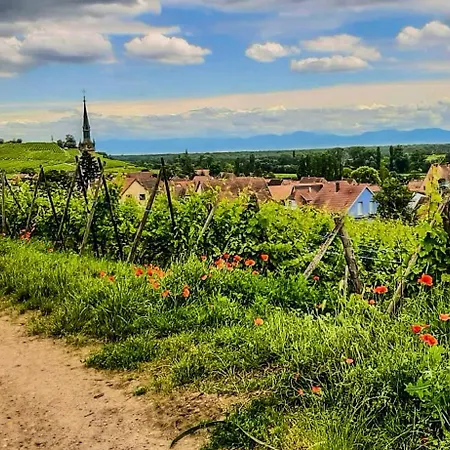 Le Cathedral View - Centre Historique - Parking Prive Gratuit *