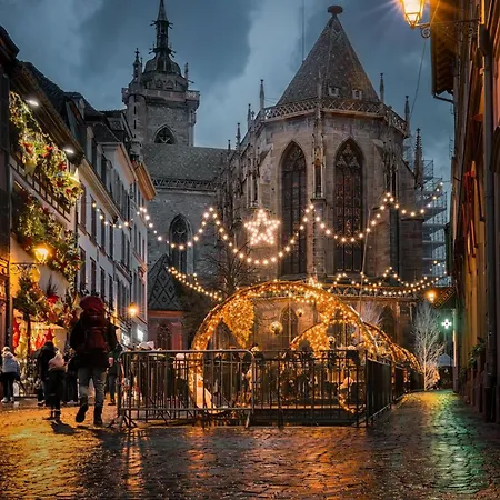 Apartament Le Cathedral View - Centre Historique - Parking Prive Gratuit Colmar