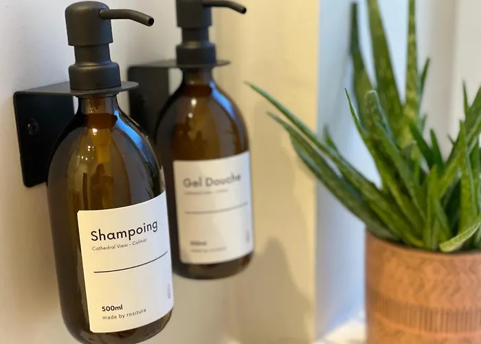 Apartamento Le Cathedral View - Centre Historique - Parking Prive Gratuit *