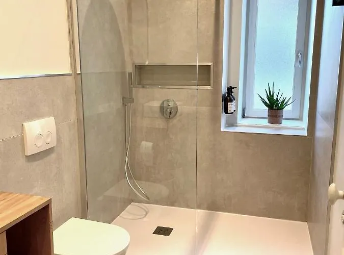 Le Cathedral View - Centre Historique - Parking Prive Gratuit Colmar